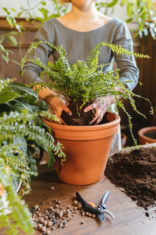 Imagen de una mujer plantando flores